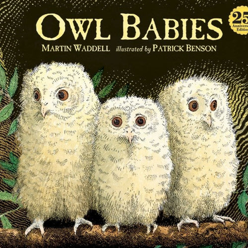 Owl Babies by Martin Waddell, Genre: Fiction