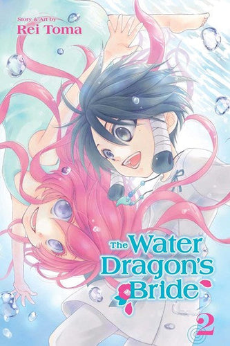 The Water Dragon's Bride, Vol. 2 by Rei Toma, Genre: Fiction