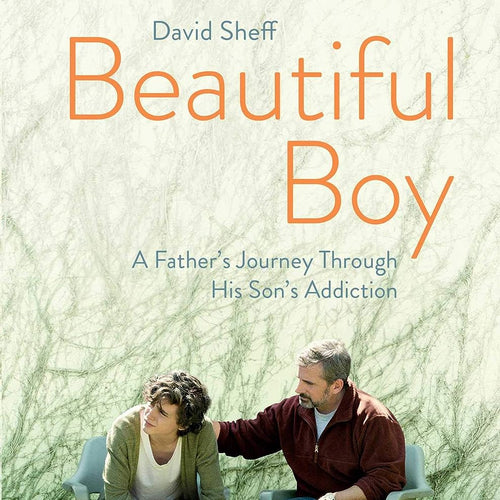 Beautiful Boy: A Father's Journey Through His Son's Addiction by David Sheff, Genre: Nonfiction