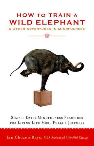 How To Train A Wild Elephant by Jan Chozen Bays, Genre: Nonfiction