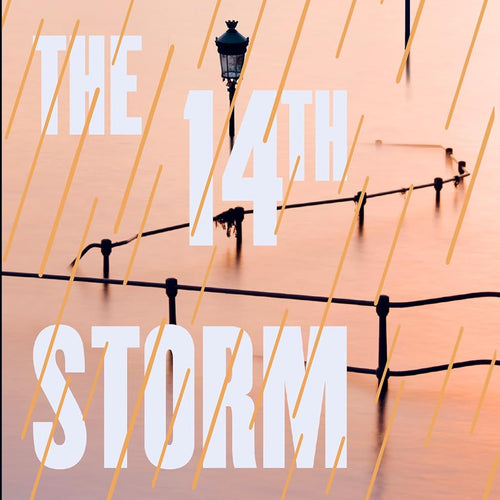 The 14th Storm by Daniel J Mooney, Genre: Fiction